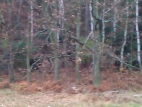 HTC 7 Mozart Moja okolica