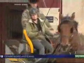 Haras national de Montier