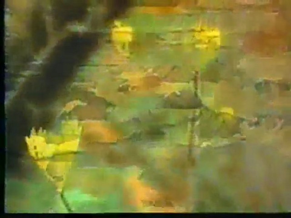 (DVD13) (21) EL BOSQUE