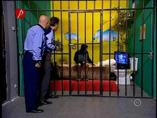 Dumnezei pentru o zi [ep. 34] [www.trasnitii.do.am]