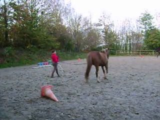 Exos Etho, Thalya - Novembre 2011