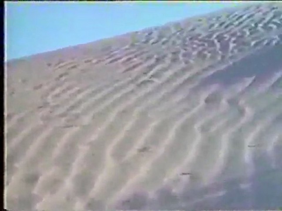 (DVD14) (14) LLUEVE EN EL DESIERTO