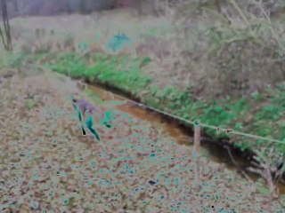 Rodzinna Okolica w obiektywie HTC 7 Mozart'a