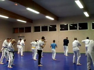 serie 002 en karaté contact