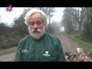 le-plus-grand-club-de-chiens-de-traineaux-est-base-a-blain