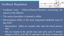 Autonomic Nervous System - Part 1