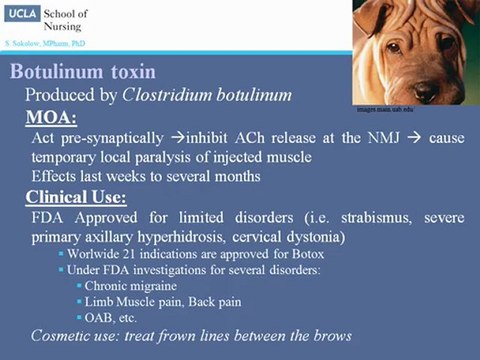 Autonomic Nervous System - Part 2