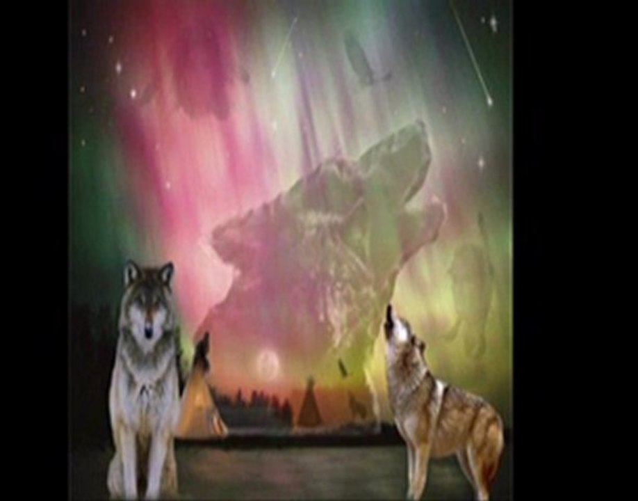 LES LOUPS