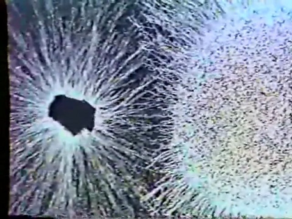 (DVD14) (24) VIDA EN EL SUELO 1