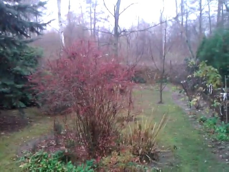 WP_20111115_125151Z