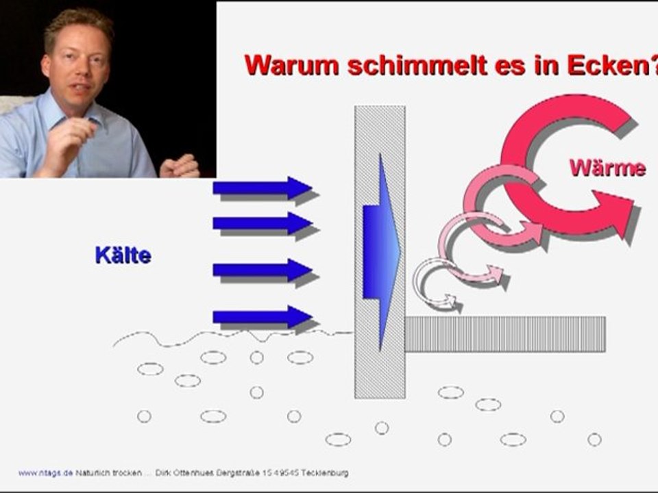 Schimmel in Ecken und feuchten Kellern und feuchten Garagen