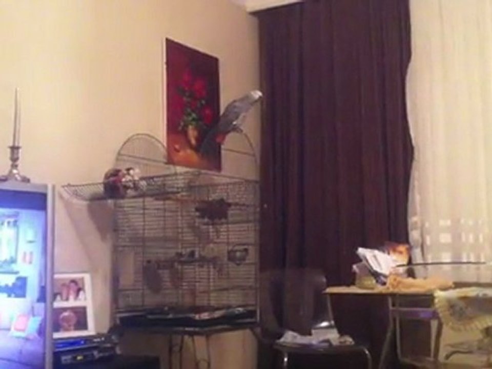 jako