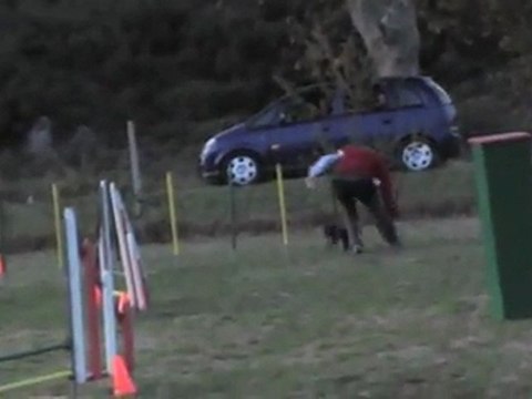 MONTREDON COOKY JUMPING