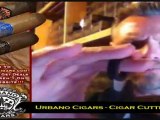 Cuban Cigars Tampa
