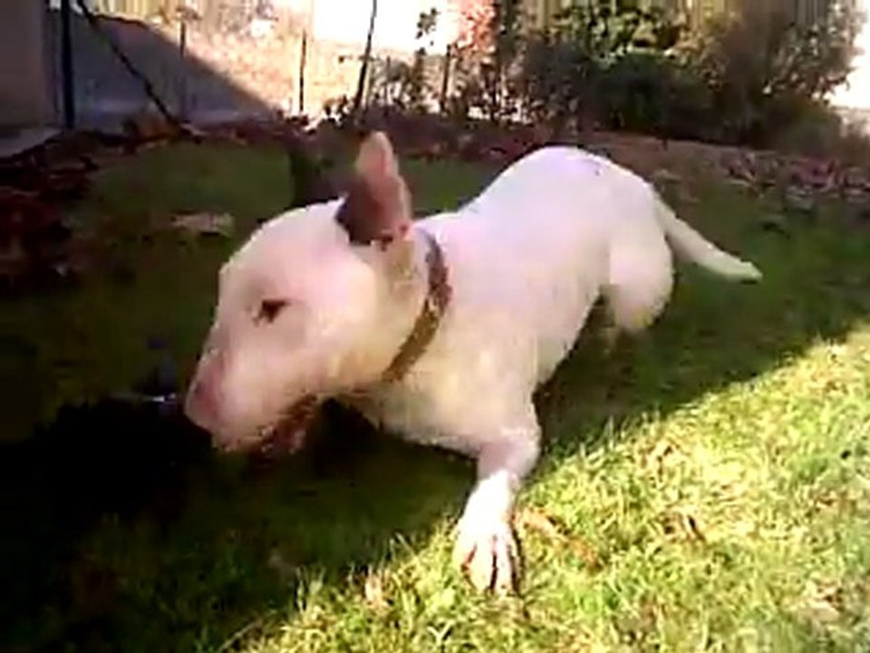 VID 00031-20111115-1308