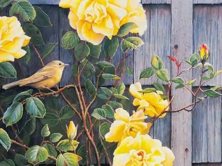 FARID FARJAD-SUSAN BOURDET