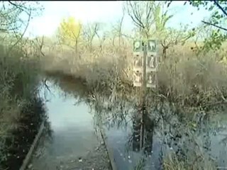 Les Marais du Vigueirat novembre 2011