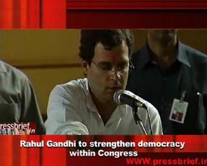 Rahul Gandhi to strengthen democracy  within Congress