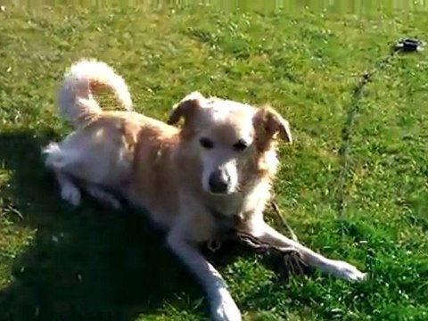 TESTUJEMY HTC MOZART 7 W ORANGE WIDEO