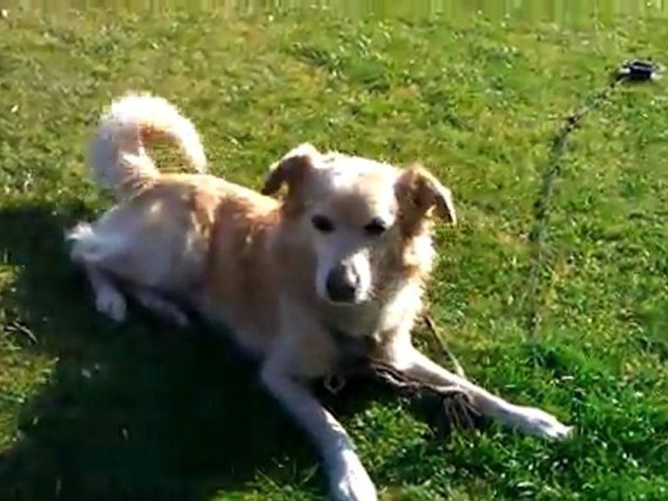 TESTUJEMY HTC MOZART 7 W ORANGE WIDEO