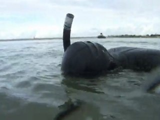 Vidéo-005 Chasse sous marine avec Titou