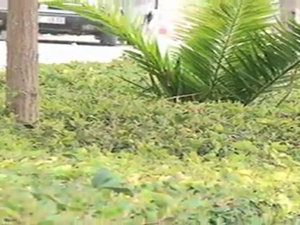 PARK BAHÇELER