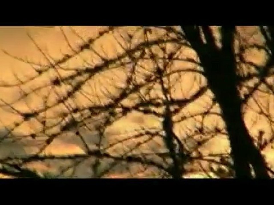 Bon Iver - Skinny Love