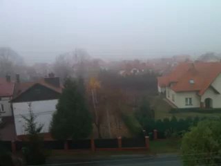 Moja okolica - orange