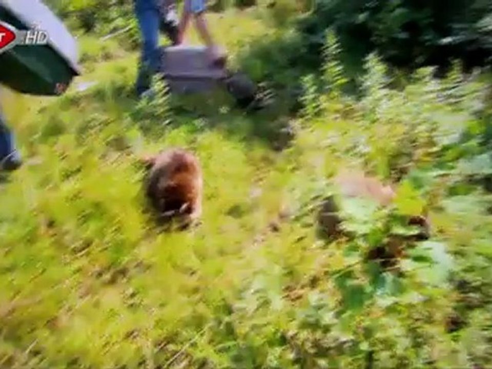 Vahşi Yaşam İçin Umut "Hope For Wild Life" Fragman