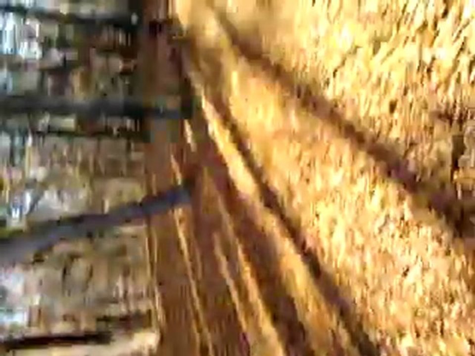 GIO - Moja Okolica