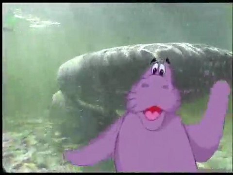 (DVD14) (34) AVENTURA BAJO EL AGUA, MANANTIALES