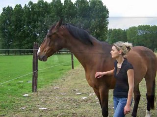 montage sur nautylus robbie williams-feel