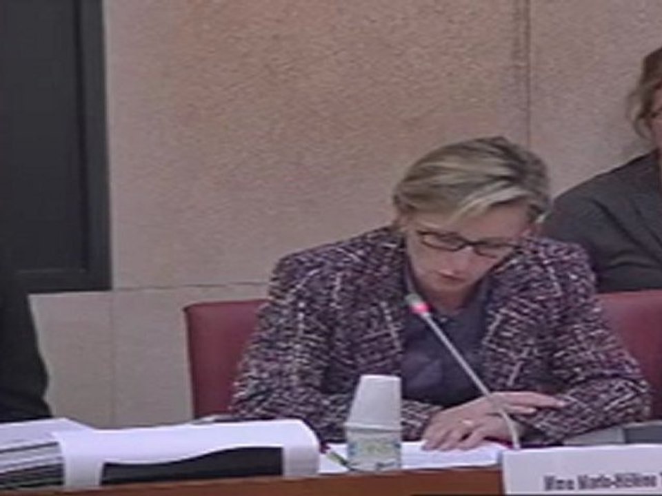 Projet de loi relatif à la copie privée - Intervention de la rapporteur