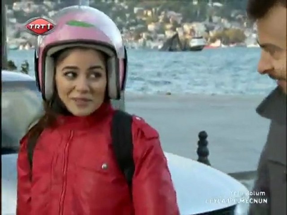 atom karınca