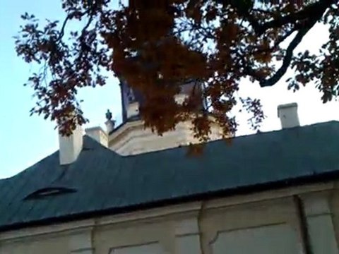 Siedlce moje miasto.