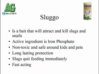 Sluggo Natural Slug & Snail Killer