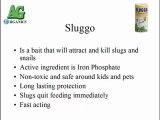 Sluggo Natural Slug & Snail Killer