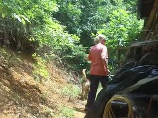 Getting to Market (Farmers Film Webisode 2)