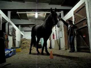 11.11 dl par aspiration