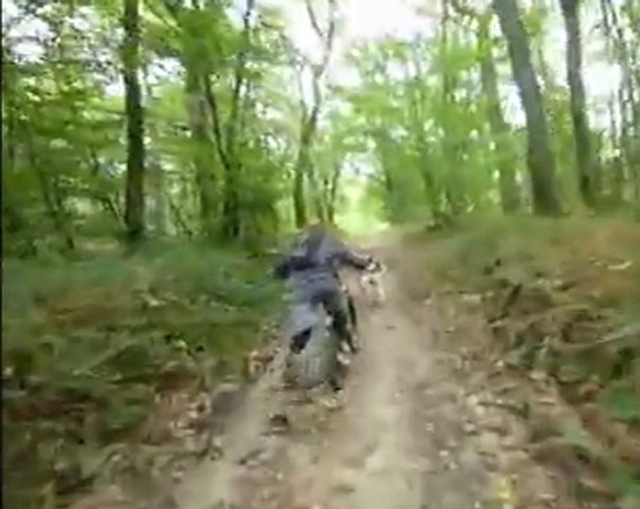 Lulu on Trott'