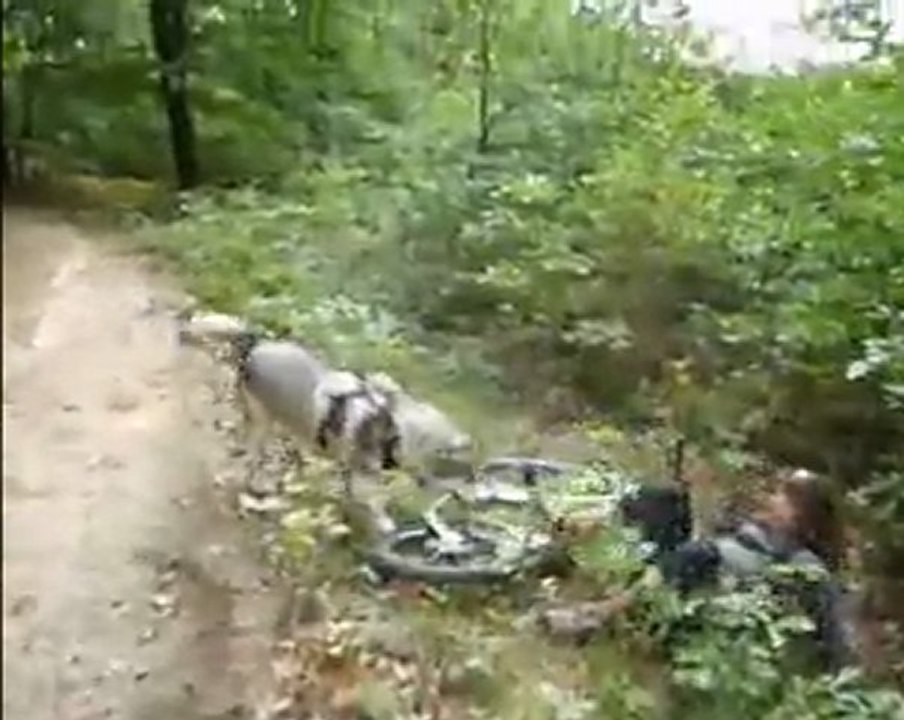 La chute