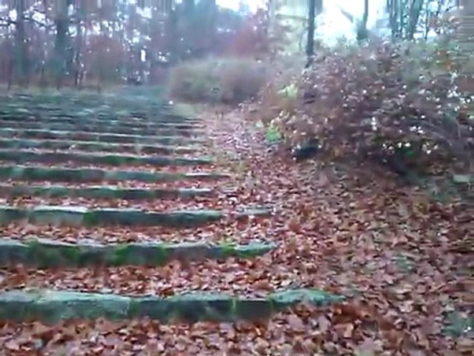 Wejherowo