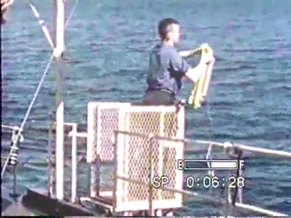 (DVD15) (16) LA TIERRA Y SUS OCEANOS