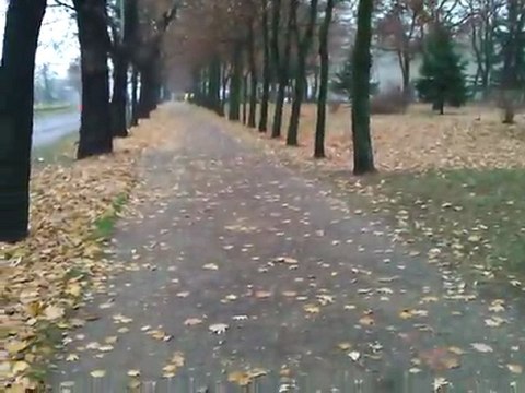 zadanie - moja okolica