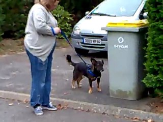 16112011026_(converted)