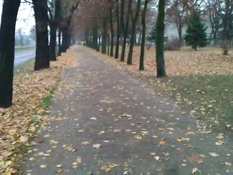 Zadanie - Test wideo - moja okolica