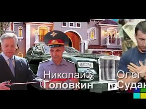 Голосуйте за партию жуликов и воров!