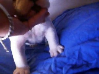 male bulldog anglais disponible