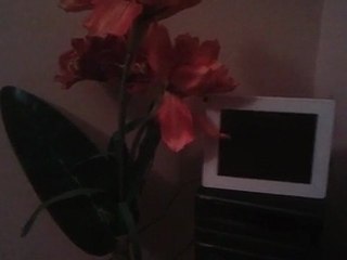 SAMSUNG GALAXY S ---> 1280x720 (720P)