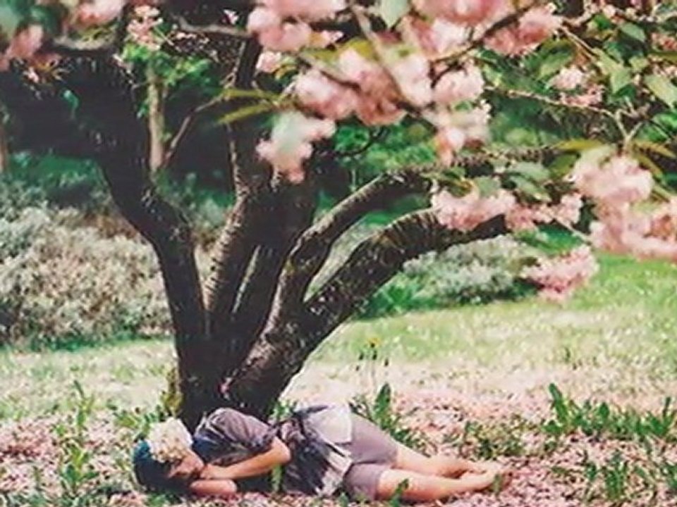 Os Verdes Campos Da Minha Terra-Carmen Silva